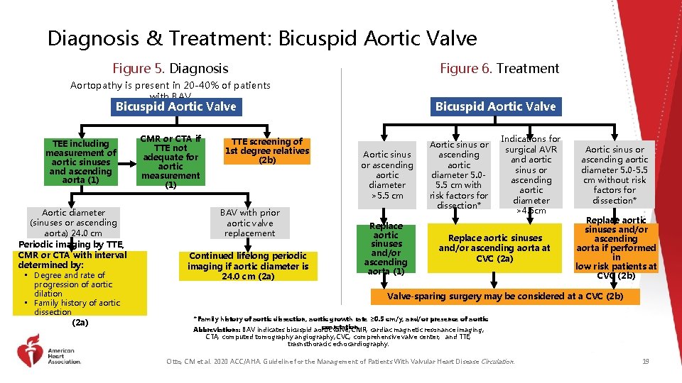 Diagnosis & Treatment: Bicuspid Aortic Valve Figure 5. Diagnosis Figure 6. Treatment Aortopathy is