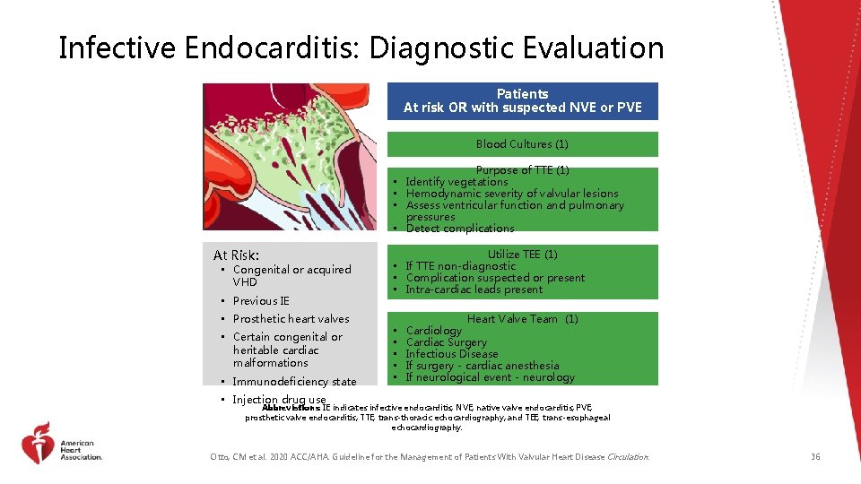 Infective Endocarditis: Diagnostic Evaluation Patients At risk OR with suspected NVE or PVE Blood