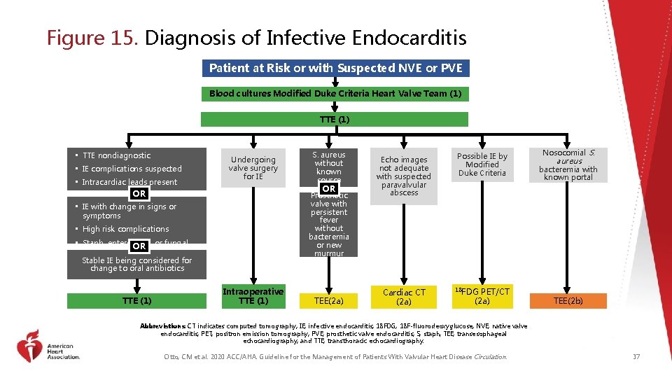 Figure 15. Diagnosis of Infective Endocarditis Patient at Risk or with Suspected NVE or