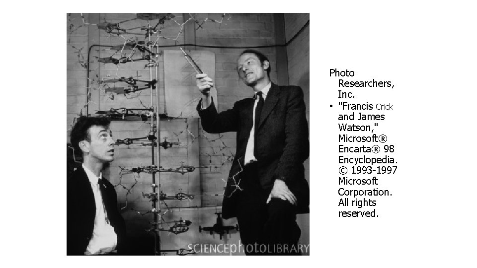 Photo Researchers, Inc. • "Francis Crick and James Watson, " Microsoft® Encarta® 98 Encyclopedia.