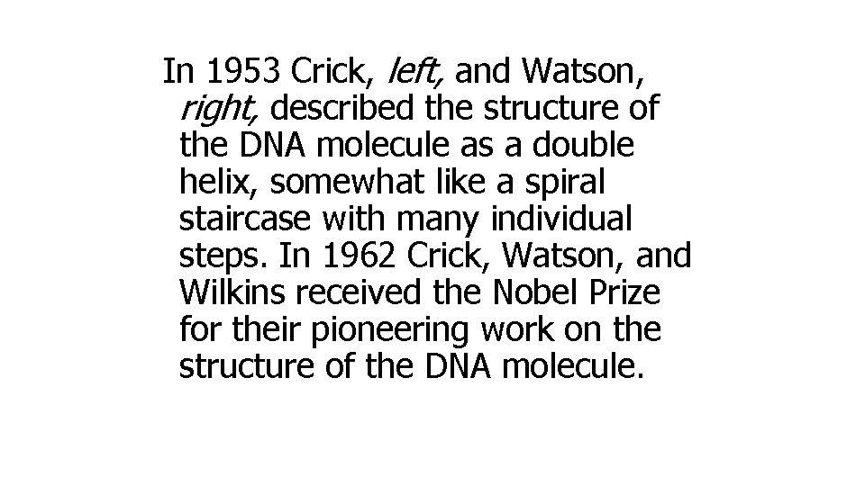 In 1953 Crick, left, and Watson, right, described the structure of the DNA molecule