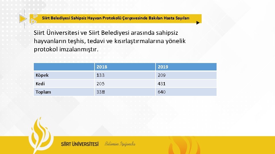 Siirt Belediyesi Sahipsiz Hayvan Protokolü Çerçevesinde Bakılan Hasta Sayıları Siirt Üniversitesi ve Siirt Belediyesi