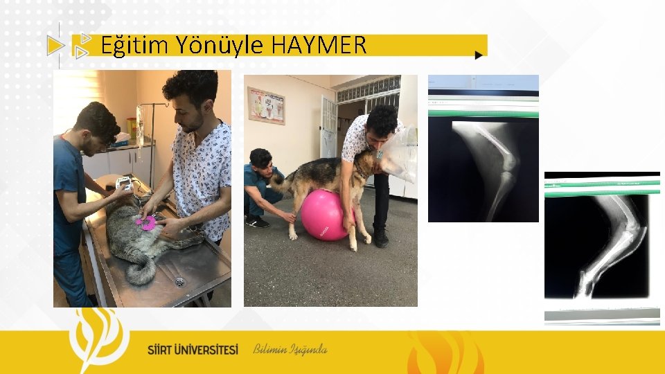 Eğitim Yönüyle HAYMER 