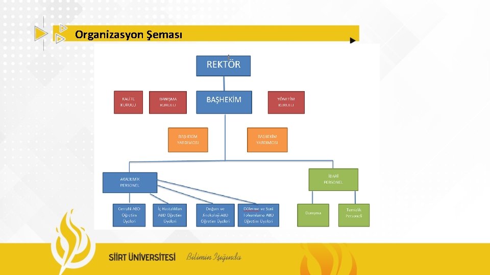 Organizasyon Şeması 