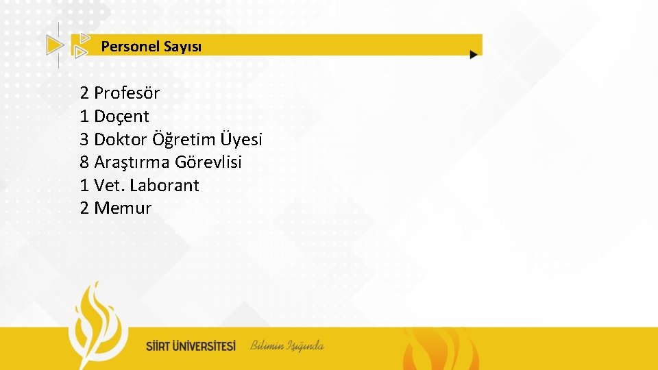 Personel Sayısı 2 Profesör 1 Doçent 3 Doktor Öğretim Üyesi 8 Araştırma Görevlisi 1