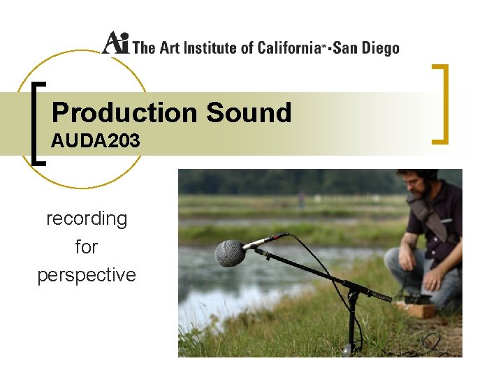 Production Sound AUDA 203 recording for perspective 