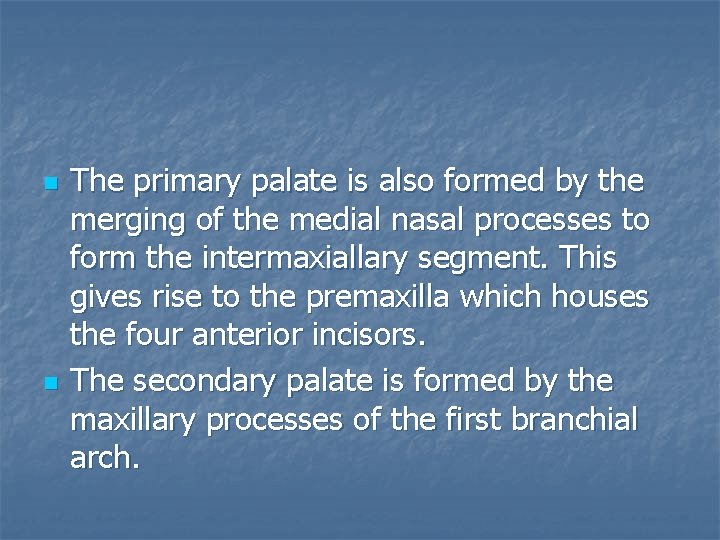 n n The primary palate is also formed by the merging of the medial