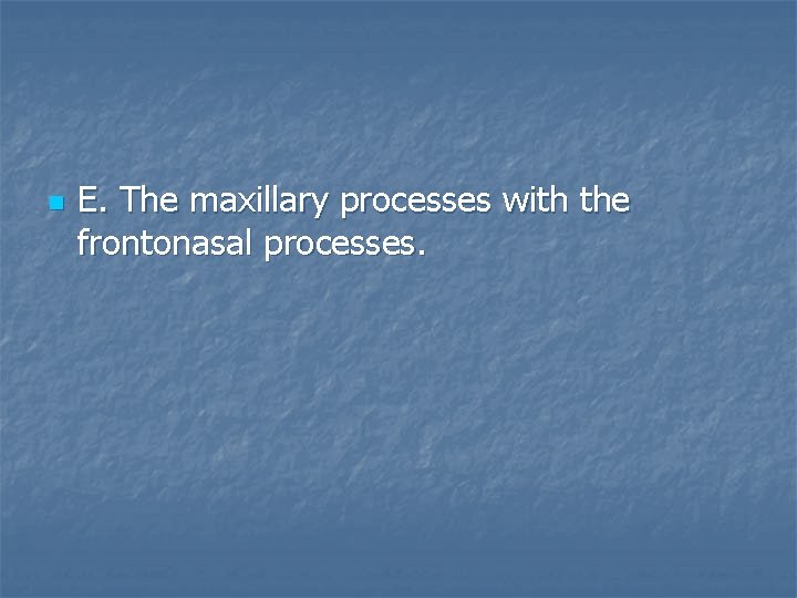 n E. The maxillary processes with the frontonasal processes. 
