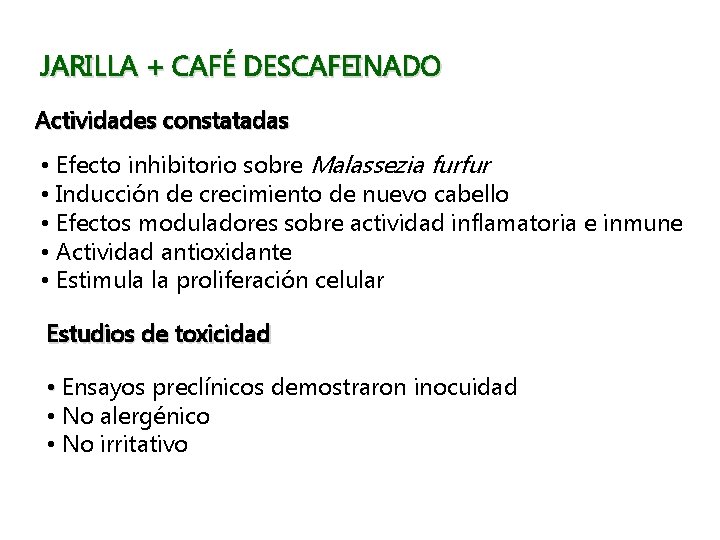 JARILLA + CAFÉ DESCAFEINADO Actividades constatadas • Efecto inhibitorio sobre Malassezia furfur • Inducción