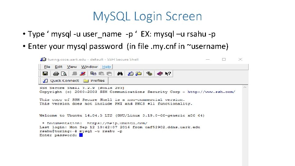 My. SQL Login Screen • Type ‘ mysql -u user_name -p ‘ EX: mysql
