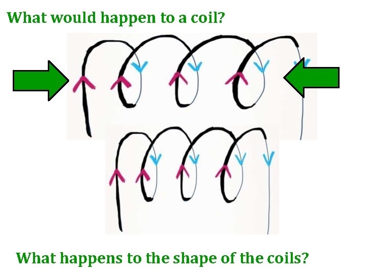 What would happen to a coil? What happens to the shape of the coils?