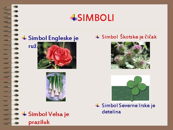 SIMBOLI Simbol Engleske je ruža Simbol Velsa je praziluk Simbol Škotske je čičak Simbol