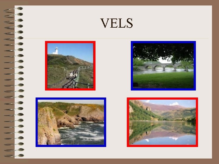 VELS 