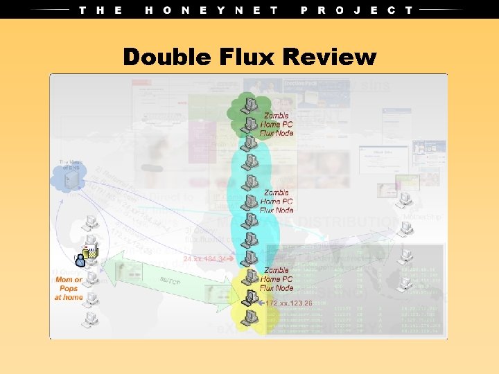 Double Flux Review 