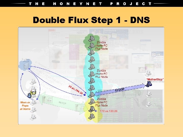 Double Flux Step 1 - DNS 