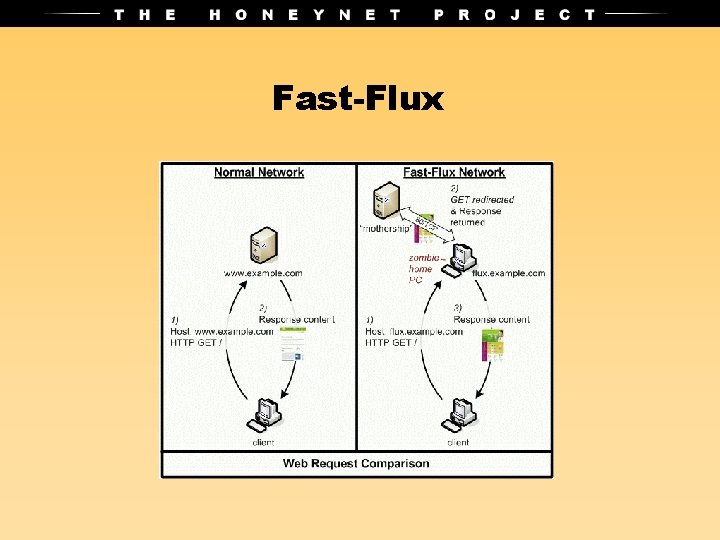 Fast-Flux 