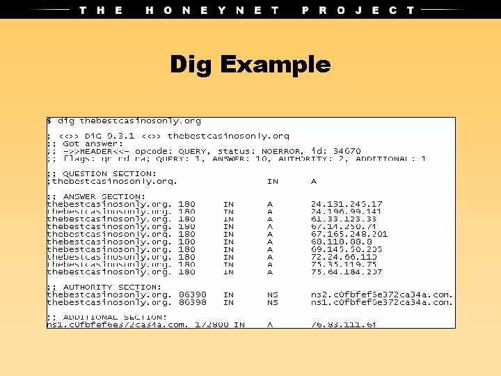 Dig Example 