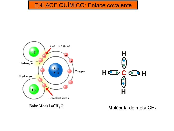 ENLACE QUÍMICO: Enlace covalente Molècula de metà CH 4 
