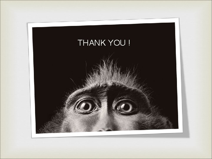 THANK YOU ! THANK YOU !