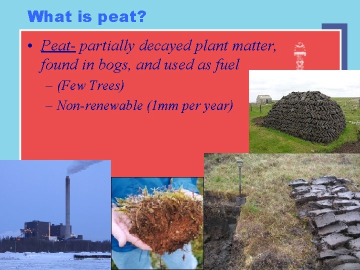 What is peat? • Peat- partially decayed plant matter, found in bogs, and used