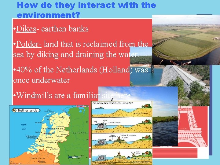 How do they interact with the environment? • Dikes- earthen banks • Polder- land
