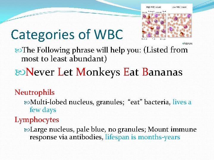 Categories of WBC The Following phrase will help you: (Listed from most to least