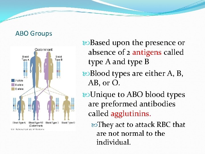 ABO Groups Based upon the presence or absence of 2 antigens called type A