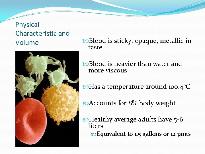 Physical Characteristic and Volume Blood is sticky, opaque, metallic in taste Blood is heavier