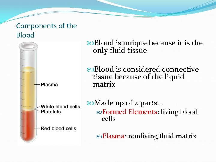 Components of the Blood is unique because it is the only fluid tissue Blood