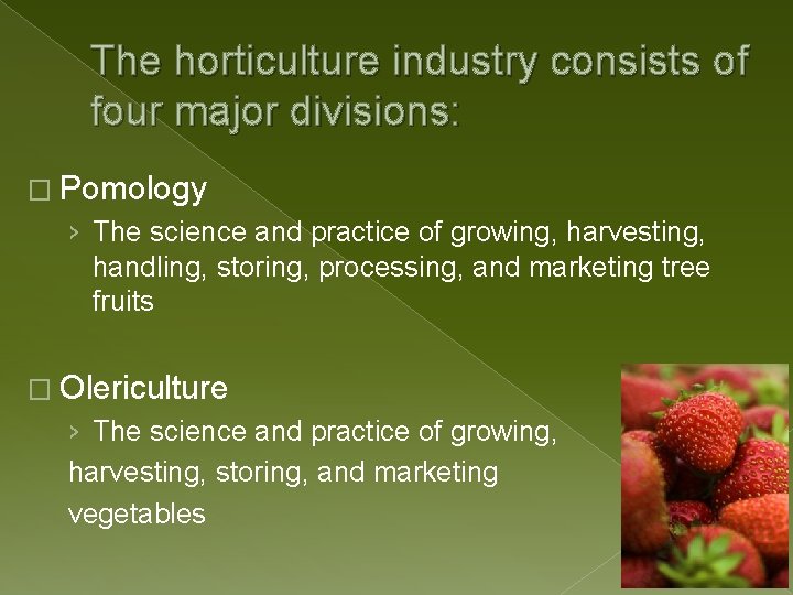 The horticulture industry consists of four major divisions: � Pomology › The science and