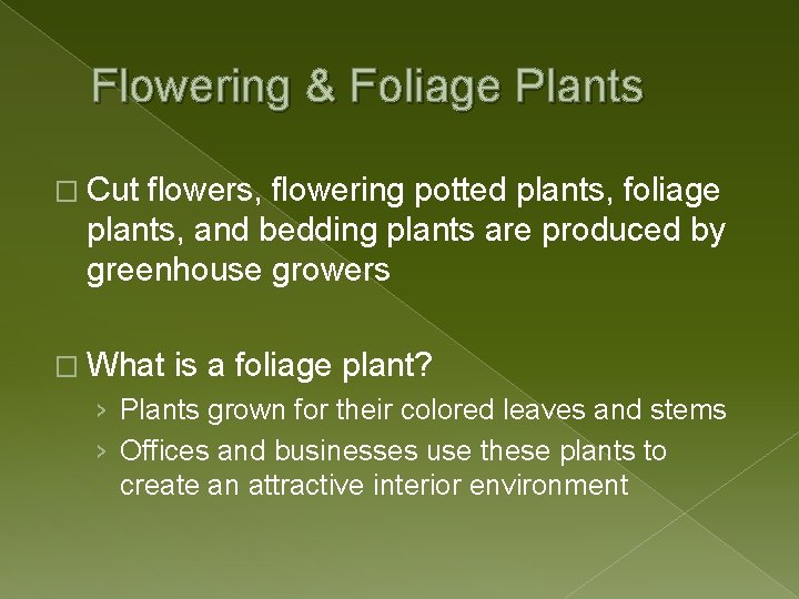 Flowering & Foliage Plants � Cut flowers, flowering potted plants, foliage plants, and bedding