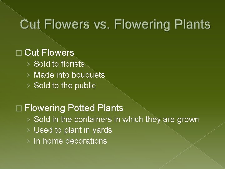 Cut Flowers vs. Flowering Plants � Cut Flowers › Sold to florists › Made