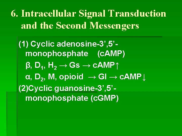 6. Intracellular Signal Transduction and the Second Messengers (1) Cyclic adenosine-3’, 5’monophosphate (c. AMP)