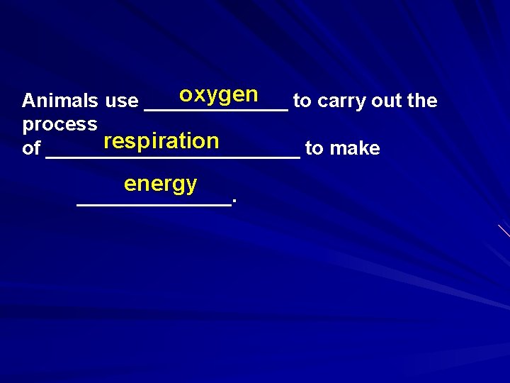 oxygen Animals use _______ to carry out the process respiration of ____________ to make