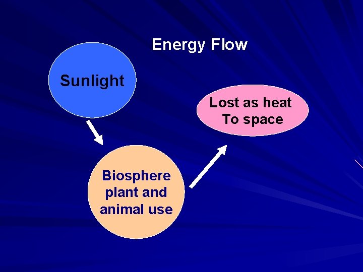 Energy Flow Sunlight Lost as heat To space Biosphere plant and animal use 