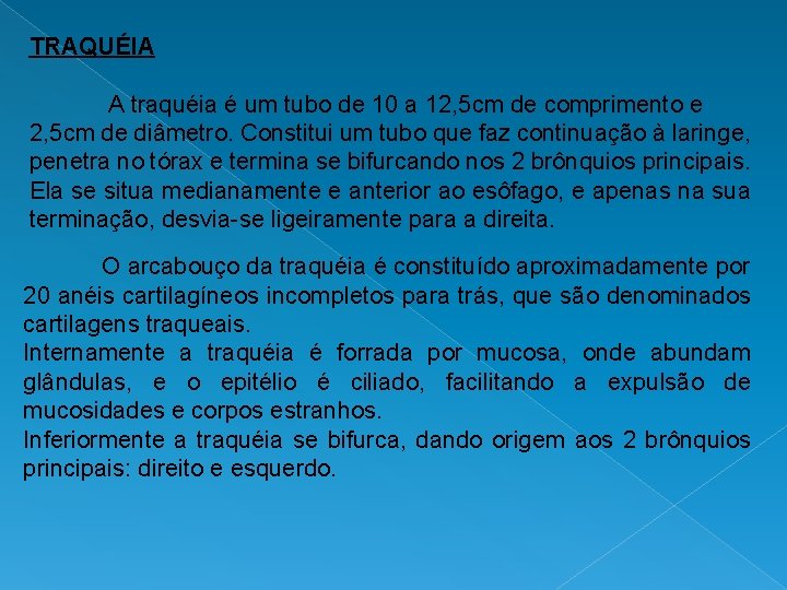 TRAQUÉIA A traquéia é um tubo de 10 a 12, 5 cm de comprimento