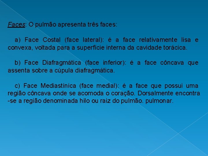 Faces: O pulmão apresenta três faces: a) Face Costal (face lateral): é a face