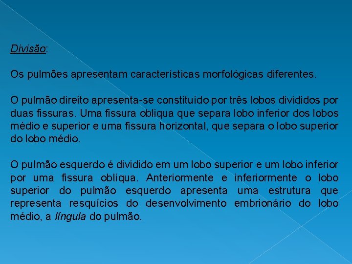 Divisão: Os pulmões apresentam características morfológicas diferentes. O pulmão direito apresenta-se constituído por três