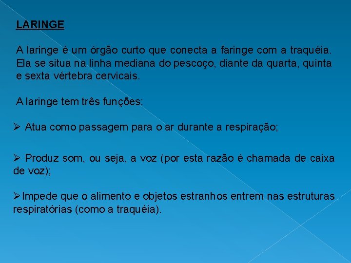 LARINGE A laringe é um órgão curto que conecta a faringe com a traquéia.