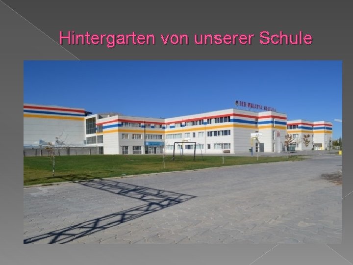 Hintergarten von unserer Schule 