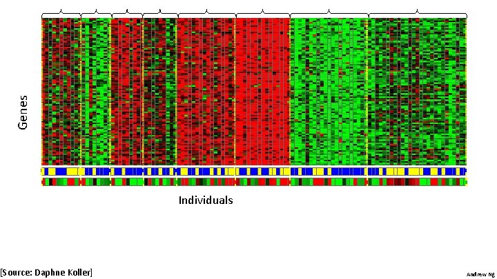 Genes [Source: Daphne Koller] Individuals Andrew Ng 