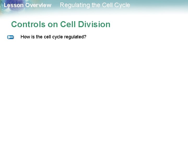 Lesson Overview Regulating the Cell Cycle Controls on Cell Division How is the cell