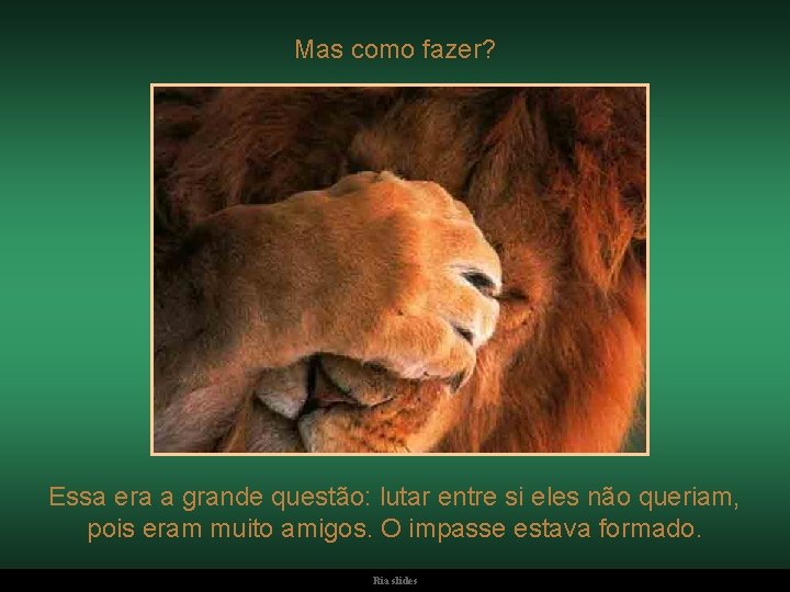 Mas como fazer? Essa era a grande questão: lutar entre si eles não queriam,