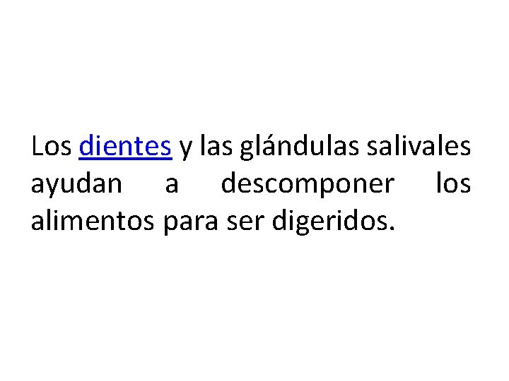 Los dientes y las glándulas salivales ayudan a descomponer los alimentos para ser digeridos.