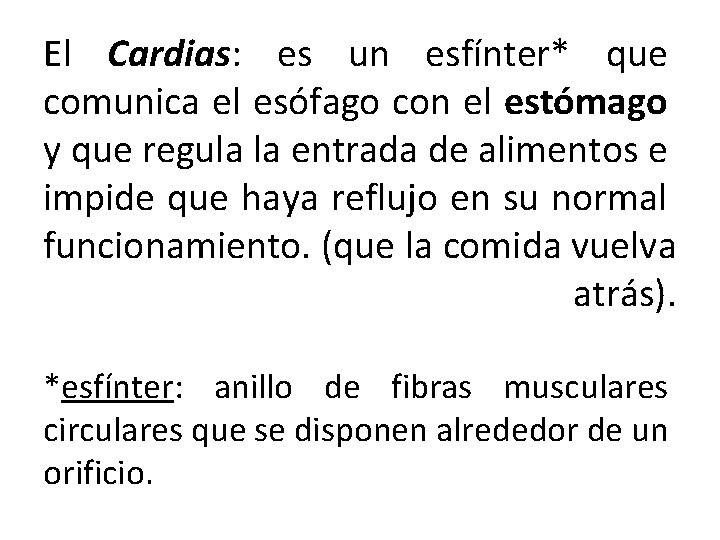 El Cardias: es un esfínter* que comunica el esófago con el estómago y que