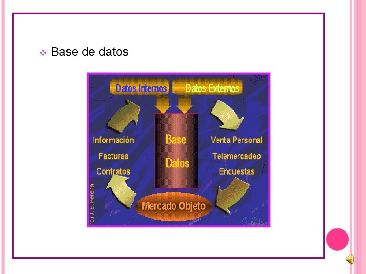 v Base de datos 