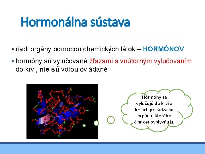 Hormonálna sústava • riadi orgány pomocou chemických látok – HORMÓNOV • hormóny sú vylučované