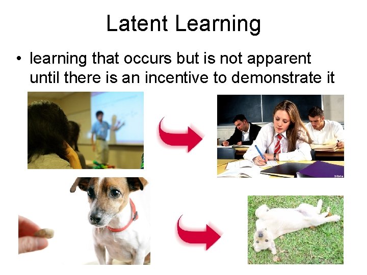 Latent Learning • learning that occurs but is not apparent until there is an