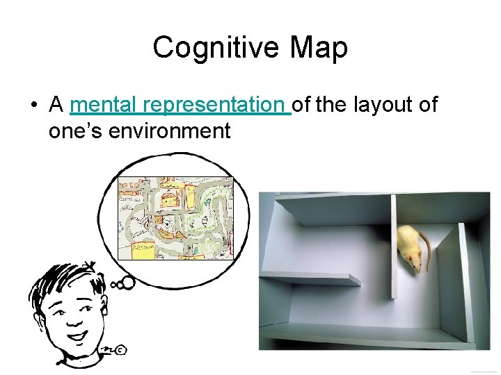 Cognitive Map • A mental representation of the layout of one’s environment 