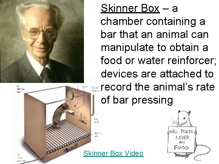 Skinner Box – a chamber containing a bar that an animal can manipulate to